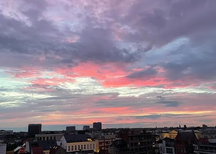 Zalig In Hartje * Gent